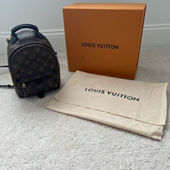 Louis Vuitton Palm Springs Mini - Picture 1 of 9